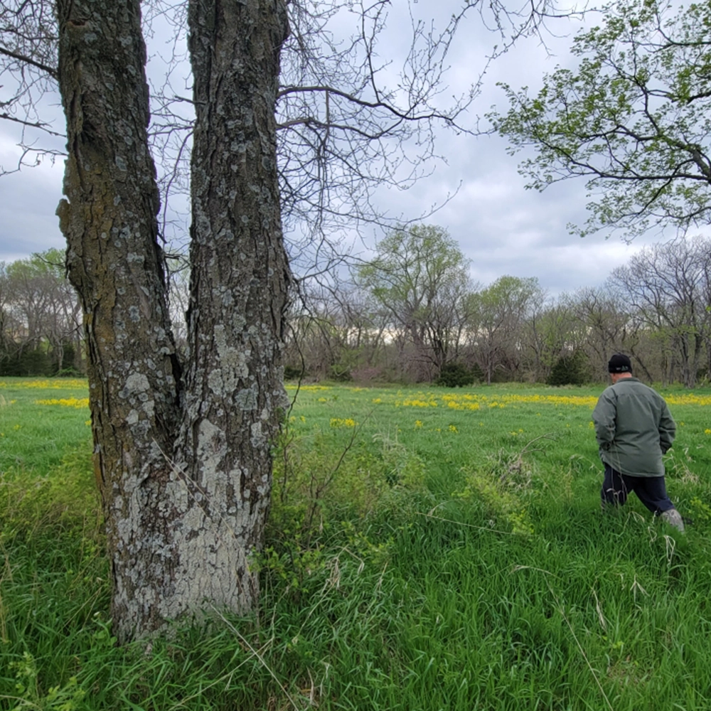 Alan Anglyn - Author Historical Fiction